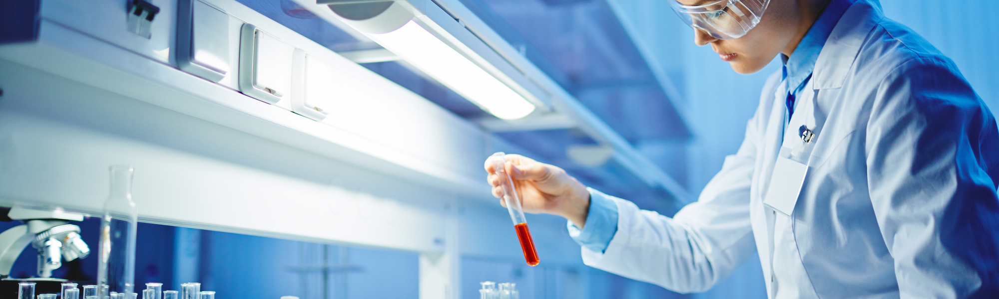 R&D services (pharmaceutics, materials, cosmetics)